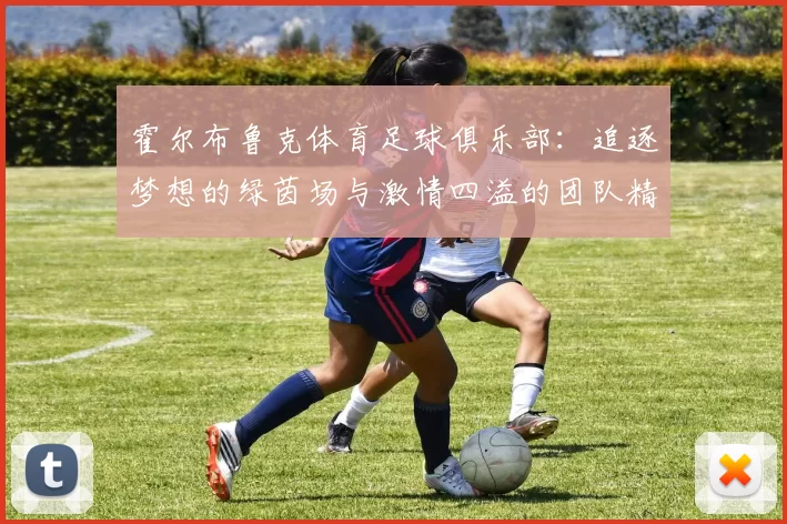 霍尔布鲁克体育足球俱乐部：追逐梦想的绿茵场与激情四溢的团队精神